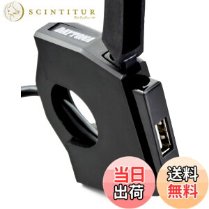 �y���������z�f�C�g�i(Daytona) �o�C�N�p USB�d�� USB-A 12W iPhone/Android�Ή� �u���[�L�X�C�b�`�ڑ� ���C���L�[�A�� ��t��13.5mm �X�����_�[USB 1�|�[�g 98437