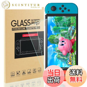�y���������zMAEXUS Switch �t�B���� 2������ Switch �ی�t�B���� �L�@el Switch�p�ی�t�B���� �X�C�b�` �t�B���� �X�C�b�` Switch �K���X�t�B���� �L�@el �d�x9H ��ʕی�t�B���� �C�A�[��
