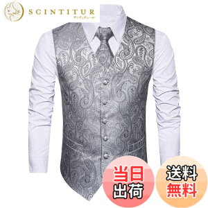 �y���������z[HISDERN] �V���o�[ �x�X�g ������ �����Y �t�H�[�}�� �r�W�l�X �X�[�c �x�X�g �X���� V�l�b�N �傫���T�C�Y �j�� �畞 XS V3-01