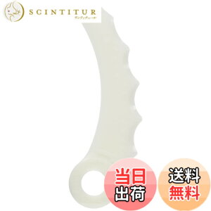 �y���������z�}�L�^ �����n�֐n 12���� A-68345