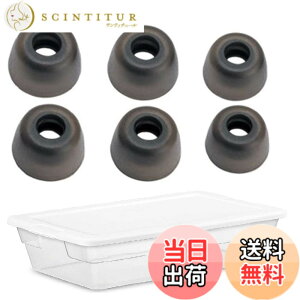 �y���������zA-Focus �C���[�s�[�X �C���[�`�b�v Jabra Elite 65t �C Jabra Elite Active 65t �C Galaxy Buds ���C���z���p �V���R�����`�b�v S/M/L 3�T�C�Y 3�y�A �yFit In Case�z Glay