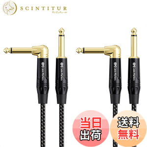 �y���������zCable Matters 2�{�Z�b�g �ґg�M�^�[�P�[�u�� - 0.9m�A�M�^�[ �V�[���h S-L�^�A 6.35mm���m�����v���O �y��p�P�[�u���ATS�X�g���[�g - L �^�A�v���O