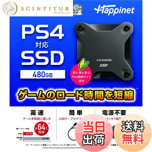�y���������zPS4�Ή� �O�t��SSD 480GB