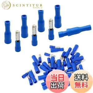 �y���������zBESTU �M�{�V�[�q 1.5-2.5mm 15A �I�X ���X �e100�Z�b�g �X���[�u�t�� �����`�s���[�q�p�b�N �����[�q �d���ڑ��p �≏�����[�q�Z�b�g PVC���S�≏ MPD 2-156 FRD2-156 A.G.W16-14 ��