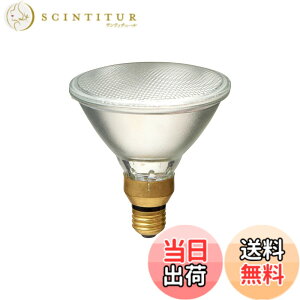 �y���������z�G���p(ELPA) �n���Q���r�[�������v�U��65W EBRF110V65W