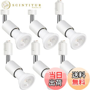 �y���������zszbritelight �X�|�b�g���C�g e26 �_�N�g���[�����C�g �d���t�� �_�N�g���[���p�Ɩ���� ���C�e�B���O���[�� �Ɩ� PAR20 ���t���^ �����v�t LED�d���{���Z�b�g (�z���C�g, �d���F 6��