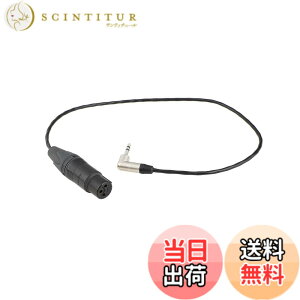 �y���������zCAMVATE �Ԃ��\�j�[�̃V�l�̃J�����̂��߂�3.5mm�̒j���P�[�u���ւ�3Pin XLR�̏���