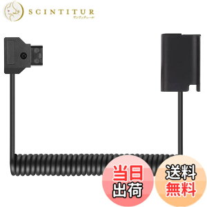 �y���������zRaeisusp D-Tap-DCC12 DMW-BLF19 D-Tap-DCC17 DMW-BLK22 �_�~�[�d�r �d���P�[�u�� LUMIX DMC-GH3 GH4 GH5 GH5II GH5S GH6L DC-S5K S5GK G9