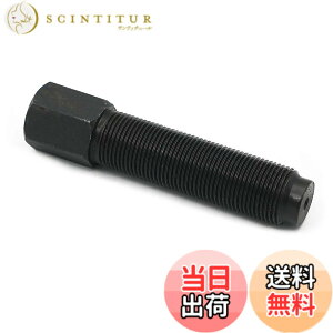 �y���������zAlpha Rider M20 x 1.5 RH 20mm �t���C�z�C�[�� �v�[���[ �c�[�� �{���g �X���b�h �X�N�����[ �z���_ Honda CB750A CB750F CB750K VF500C VF500F XL250R XR200R XR250L XR250R �J���T�L KLR250 �X�Y�L DL650 DL1000 V-
