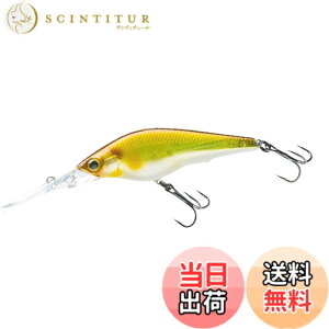 �y���������zDUEL(�f���G��) HARDCORE(�n�[�h�R�A) ���A�[ �V���b�h HARDCORE SHAD 75SF 75mm Weight:11g R1367-MGSA-���^���b�N�S�[�X�g�A��