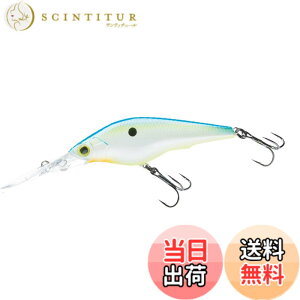 �y���������zDUEL(�f���G��) HARDCORE(�n�[�h�R�A) ���A�[ �V���b�h HARDCORE SHAD 75SF 75mm Weight:11g R1367-CSH-�V�g���X�V���b�h