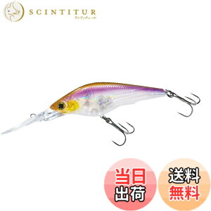 �y���������zDUEL(�f���G��) HARDCORE(�n�[�h�R�A) ���A�[ �V���b�h HARDCORE SHAD 75SF 75mm Weight:11g R1367-GSWS-�S�[�X�g���J�T�M