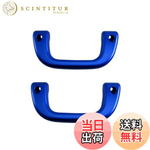 �y���������zBRIGHTZ �T���o�[�g���b�N S201J S211J �A�V�X�g�O���b�v �� 2PC �y INT�|GRIP�|003�|2PC �z S201H S201J S211H S211J S201 S211 200 �T���o�[ �g���b�N