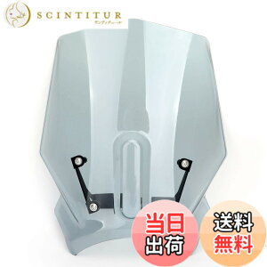 �y���������zBruce & Shark ABS �v���X�`�b�N �I�[�g�o�C �t�����g�K���X �E�C���h�X�N���[�� �p CB125R CB300R 2018-2019�p �O���[ �X�N���[�� �I�[�g�o�C �o�C�N�p