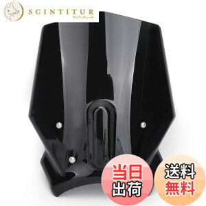 �y���������zBruce & Shark ABS �v���X�`�b�N �I�[�g�o�C �t�����g�K���X �E�C���h�X�N���[�� �z���_�p CB125R CB300R 2018-2019�p �u���b�N �X�N���[�� �I�[�g�o�C �o�C�N�p