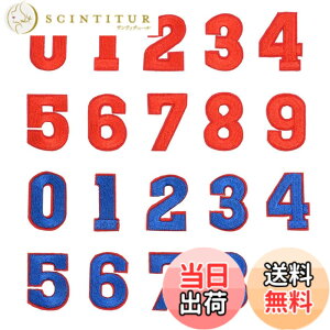 �y���������z�yWdlife�z0-9�������b�y���A�C�����h�J���b�y���A�b�v���PDIY�� �H�|�i�̑����p�b�` �u�������ƐԐ����e10���y20���Z�b�g�z