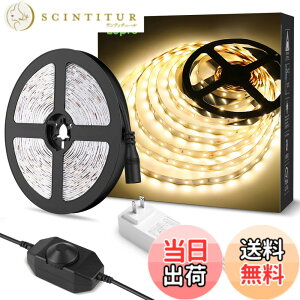 �y���������zLepro LED�e�[�v���C�g �d���F ���i�K���� �ԐڏƖ� 5m 12v �����F�^�C�v �X�g���b�v���C�g �ؒf�\ 2835SMD 300LED���P�x �X�g�����O���C�g �Q��/������/�X��/�R���N�V����/�ŔƖ�