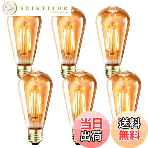 �y���������zLVWIT �G�W�\���d�� E26���� LED�d�� 60W�` �G�W�\�������v �G�W�\���o���u ST64 6W �d���F ���F ���ߐF 720LM �t�B�������g �d�� �ȃG�l ���g�� �y���_���g �V�[�����O �X�^���h ������