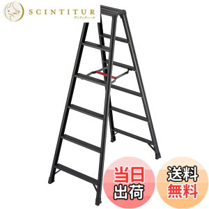 �y���������z���J��H��(Hasegawa) ��p�r�� �r�y BLACK 6�i RZB-18b (1.69m) (17764)
