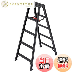 �y���������z���J��H��(Hasegawa) ��p�r�� �r�y BLACK 5�i RZB-15b (1.39m) (17763)