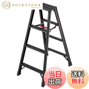 �y���������z���J��H��(Hasegawa) ��p�r�� �r�y BLACK 4�i RZB-12b (1.09m) (17762)