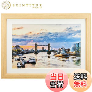 �y���������z�P���R�[(Kenko) �z�� �R�X���X W6�� �ؐ� �O�ʃK���X�g�p �i�`������ MCM-W6-NA