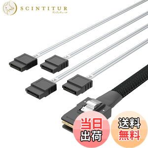 �y���������z10Gtek ���� Mini SAS 36Pin(SFF-8087) �I�X to 4x SATA 7Pin ���X �@���A�E�g �P�[�u��, 0.5���[�g��