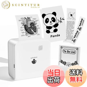 �y���������z�T�[�}���v�����^�[ 300dpi Phomemo M02 Pro �~�j�v�����^�[ �X�}�z�Ή����o�C�� �|�[�^�u���� �~�j�t�H�g����@ �����Ղ�񂽁[ �X�e�b�J�[ ��� �|�P�b�g�Ղ�񂽁[ ���M ���� �ʐ^