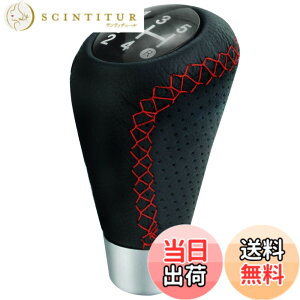 �y���������zLunsom 5�� �V�t�g�m�u PU�v �ԗp �M�A�V�t�g���o�[ �V�t�g�m�u���� �蓮�ԂɓK�p���܂� (�ԃX�e�b�`)