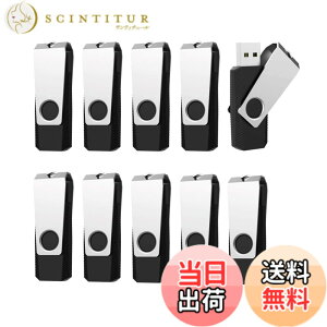 �y���������zRAOYI USB������8GB USB2.0 10�Z�b�g �t���b�V���h���C�u ��]�� �܂Ƃߔ��� �Ɩ��p �������X�e�B�b�N �≮ �X�g���b�v�z�[���t�� �i���j
