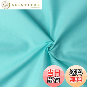 �y���������z���{�R�t�f��(Nippon Chuko) �G�C�e�B�X�N�G�A ���n ���n ��100% �V���[�e�B���O �~���g �O���[���n �Ж�108cmx1.5m�ؔ��J�b�g KD4630-315-150CM