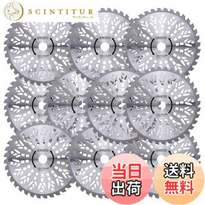 �y���������zSHUZIYU �����@�p�`�b�v�\�[ 230x36P 10���g