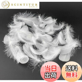 【送料無料】Kingsie 天然 羽根 100枚セット フェザーシャワー 羽シャワー 手芸素材 結婚式 ウエディング 演出 (ホワイト)