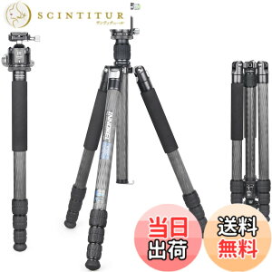 �y���������zINNOREL RT85C �J�[�{�� �O�r �{�[���_�� �L�b�g 184CM �g���x���O�r �v���� �i�b�g���b�N�� �G���x�[�^�[�� �ω׏d 25KG �l�i�r ��r�ώ� �p�C�v�a32mm ���y�� �^���� �o�R ��O �쒹 
