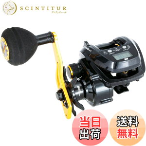 �y���������zAbuGarcia (�A�u�K���V�A) MAX DLC P ���� �f�W�^�����C���J�E���^�[ �E���� �m�[�}���M�����f��