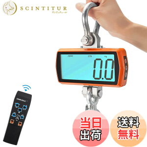 �y���������zCGOLDENWALL �N���[���X�P�[�� LCD�t���\�� 1000kg0.5kg ���y�ʂőϋv������ ���܈��� �z�[���h�@�\ �݂�͂��� �d�q�݂�X�P�[�� ���z�H�� ���Y�� �׍~�낵 �H�� ���{��������t��
