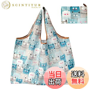 �y���������z�G�R�o�b�O �܂肽���� �R���p�N�g �R���r�j �傫�� �������� �h�� �y�� ��e�� �l�C DOLLGER ���s