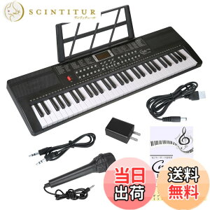 �y���������zHricane �L�[�{�[�h �s�A�m �d�q�s�A�m 61���� 200��މ��F 200��ރ��Y�� 60�ȃf���� LCD�f�B�X�v���C���� ���錮�� �y�� ���{��p�l�� �w�b�h�t�H���Ή� �q�� ���S�� ���K�p USB�P�[