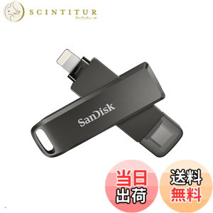 �y���������zSanDisk TYPE-C SDIX70N-256G-GN6NE Lightnig Flash