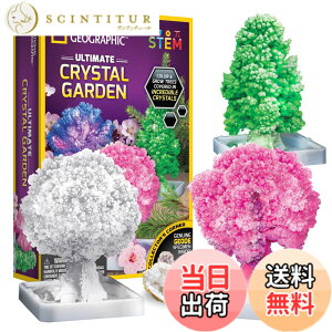 �y���������zNATIONAL GEOGRAPHIC �N���X�^���͔|�K�[�f�� �| �N���X�^���͔|�L�b�g��3�̃N���X�^���c���[���킸��6���Ԃň�Ă邱�Ƃ��ł��܂��BSTEM�L�b�g�ɂ́A�W�I�[�h�A�w�K�K�C�h�Ȃǂ�