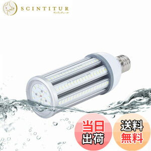 �y���������zFWAYTECH LED�R�[���^�d�� �h�� E26 E39�������Ή� 54W 6800LM�ȏ� �����F����6000K LED�X�� �R�[�������v 400W-450W���ⓔ/���⃉���v���� IP65�h���h�o 1�Z�b�g (�����F����, 54W E26����)
