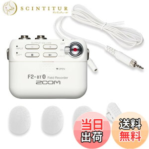 �y���������zZOOM �Y�[�� �����^ �t�B�[���h���R�[�_�[ F2-BT/W 32bit�t���[�g�^���Ή� Bluetooth �����[�g����@�\ ���x���A�}�C�N�t�� �ߕ���@�ނɑ����\ 14���ԋ쓮 �u���C�_�� �C���^�r���[ 