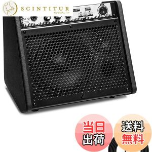 �y���������zCoolmusic DM20 20W BT �p�[�\�i�����j�^�[�A���v�d�C�h�����A���v�X�s�[�J�[�A�L�[�{�[�h�A�A�R�[�X�e�B�b�N�M�^�[�X�s�[�J�[