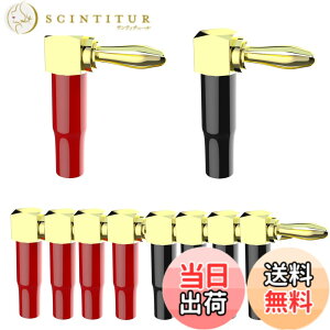 �y���������zCleqee l�^ �o�i�i�v���O 24k �����b�L�I�[�f�B�I�R�l�N�^ �X�s�[�J�[�^�[�~�i�� �ڑ� �S�[���h L�^ �R�l�N�^ �P�[�u �I�[�f�B�I �o�i�i�v���O �X�s�[�J�[�[�q �X�s�[�J�[�v���O 8