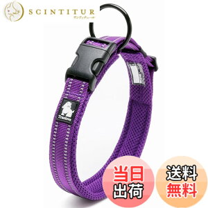 �y���������zcocomall���{�����X ����� ���̎�� �P���p ���^�A���^�A��^���p �y�b�g�p�i 3M���ˍޗ� �i�C������ �ʋC�� �e�͐� �\�t�g���b�V�� �ȒP���� ������� ���߉\(XL, ���F)