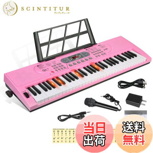 �y���������zHricane �L�[�{�[�h �s�A�m �d�q�s�A�m 61���� 200��މ��F 200��ރ��Y�� 60�ȃf���� LCD�f�B�X�v���C���� ���錮�� �y�� ���{��p�l�� �w�b�h�t�H���Ή� �q�� ���S�� ���K�p USB�P�[