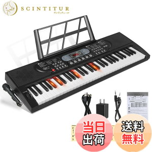 �y���������zHricane �L�[�{�[�h �s�A�m �d�q�s�A�m 61���� 200��މ��F 200��ރ��Y�� 60�ȃf���� LCD�f�B�X�v���C���� ���錮�� �y�� ���{��p�l�� �w�b�h�t�H���Ή� �q�� ���S�� ���K�p USB�P�[