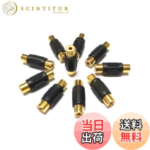 �y���������zYFFSFDC RCA�����A�_�v�^ ���X -���X ���p�R�l�N�^ ���p�v���O �ϊ��A�_�v�^�i10�Z�b�g�j