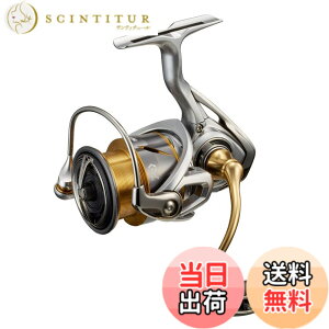 �y���������z�_�C��(DAIWA) 21 �t���[���X LT3000-CXH