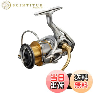 �y���������z�_�C��(DAIWA) �X�s�j���O 21 �t���[���X LT4000-CXH